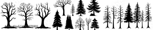 A stark black silhouette of a naked tree stands out, reminiscent of winter trees with empty branches from autumn, alongside an old dry oak, and a mix of large and tiny trees in a modern forest