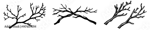 A linear drawing of a tree's bark-covered bough is depicted in a minimalist style, showcasing the branch's outline as a simple stick
