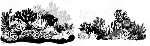 The ocean floor is depicted in a modern undersea background with cartoon seaweeds and corals, inhabited by fish shoals, jellyfish, and starfish in a thriving tropical coral reef ecosystem