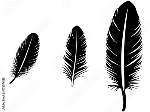 The image features a yellow feather silhouette, a calligraphy logo, and a quill icon