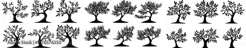 Olive oil packaging features modern labels and isolated olive tree silhouettes, as well as emblems of olive trees with leaves and natural signs for bio extra virgin olive oil products