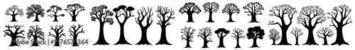 The African continent and Madagascar island are symbolized by the nature and savannah flora of the baobab tree silhouettes, which are tall and high with trunks of varying thickness, covered in lianas