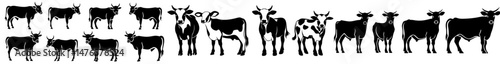A modern set featuring cow silhouettes of various cattle breeds is ideal for farm or ranch branding and works well for logos and decals with black and white backgrounds, depicting bulls and cows