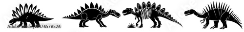 A fossilized skeleton of a stegosaurus dinosaur, featuring black modern silhouettes of its bones, distinctive plates, and a spiked tail, is used for educational paleontology materials to study the