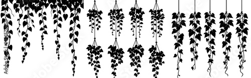 The borders and corners of modern frames are defined by the silhouettes of vertical, isolated ivy lianas, intertwined with black vines of creeper plants, hanging branches, and leaves, evoking the