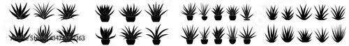 A collection of aloe vera icons features the medicinal aloe plant, a green herb utilized in both cosmetics and medicine, known for its healing properties and often depicted in herbal medicine,