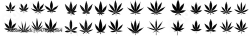 A set of monochrome icons featuring marijuana leaves, representing cannabis, a medical herb, also known as forbidden grass, used in healthcare educational materials, in a simple black and white flat