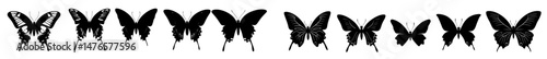 Flying butterflies are silhouetted against a black set, which includes a hand drawn design of a Tawny Monarch Butterfly, daisies, and a flower design, along with a positive quote and a nod to