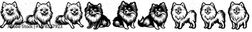 The portrait set of a Pomeranian dog, a pure breed and cute little puppy, is depicted as a home pet friend, with front and side views and its tongue out, in a simple silhouette linocut style,