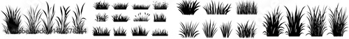 Bunches of isolated green grass are depicted, along with elements of a spring or summer meadow lawn, and cartoon decorative garden elements that evoke a sense of seasonal freshness and modern style