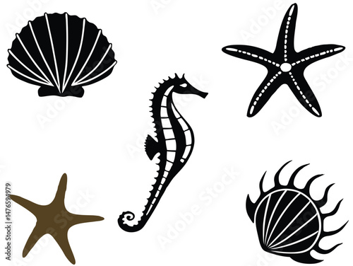 set of shells and starfish, vector illustration