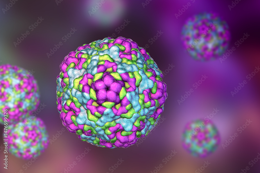 Enteroviruses, 3D illustration showing spherical, non-enveloped RNA viruses responsible for diseases like meningitis, myocarditis, hand-foot-mouth disease. Enteroviruses, 3D illustration showing spherical, non-enveloped RNA viruses responsible for diseases like meningitis, myocarditis, hand-foot-mouth disease.