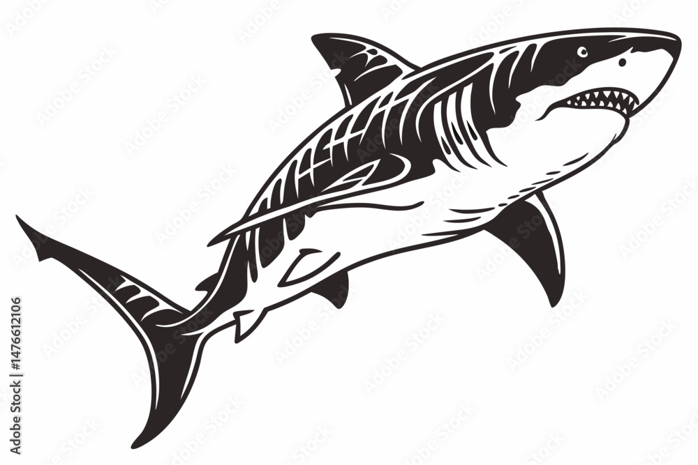 Fototapeta premium tiger shark sihouette black vector