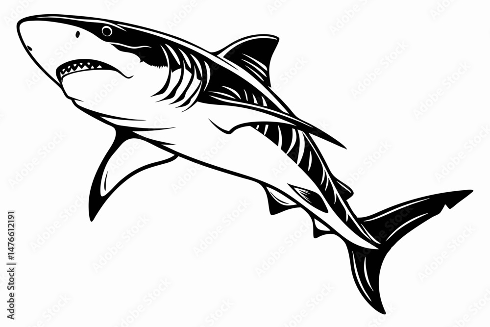 Obraz premium tiger shark sihouette black vector