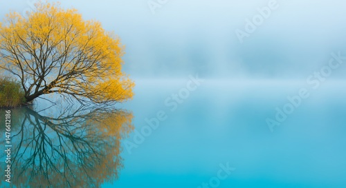 Tree over water reflection tranquil landscape