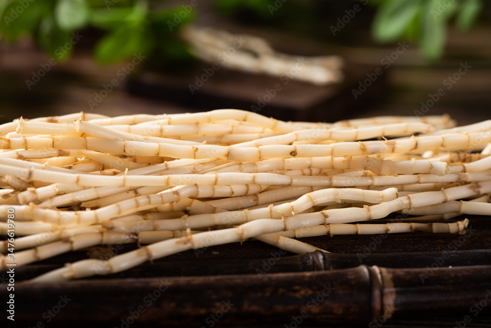 Couch grass herb root used in herbal medicine on wooden table.