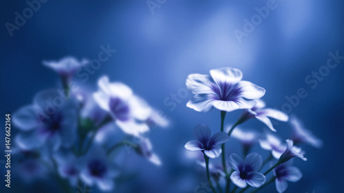 Delicate blue blossom floral arrangement.