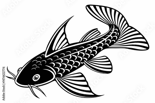 pleco sihouette black vector