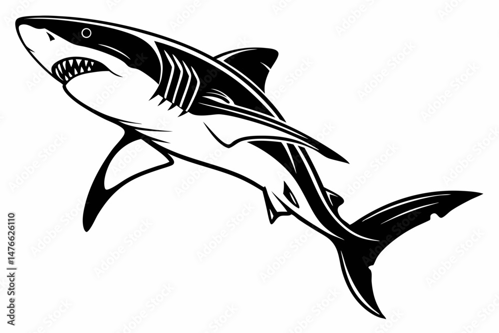 Fototapeta premium shark sihouette black vector