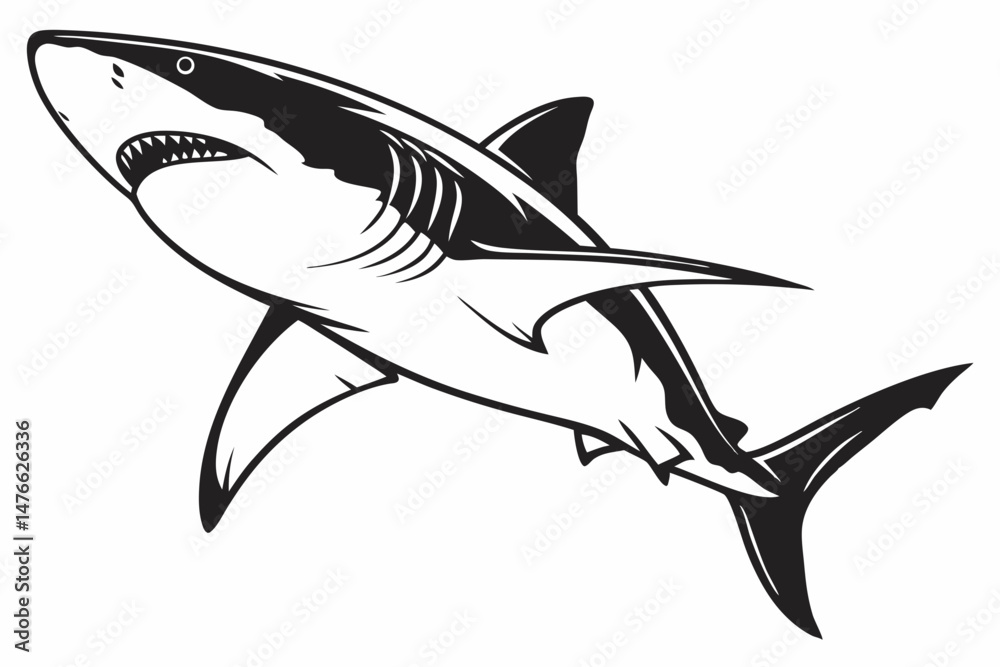 Fototapeta premium shark sihouette black vector