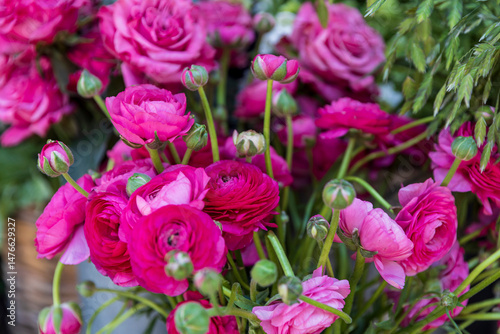 A vibrant bunch of pink Ranunculus flowers is displayed at a flower stall in London, England.