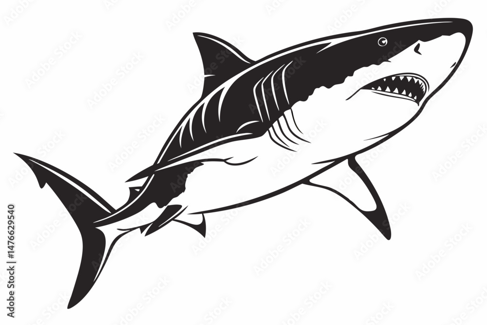 Fototapeta premium great white shark silhoette black vector