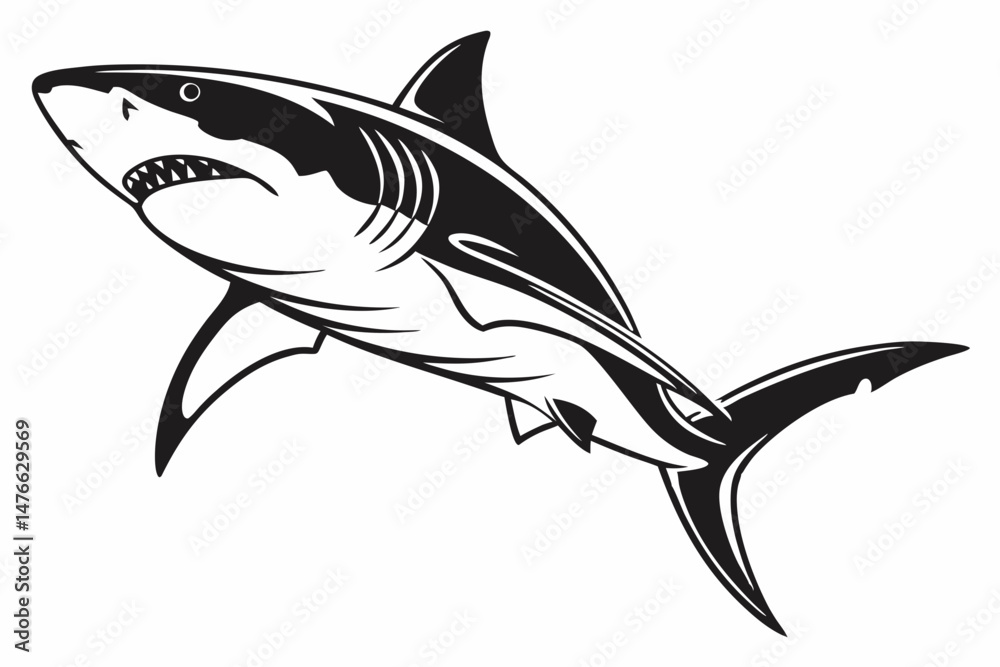 Fototapeta premium great white shark silhoette black vector