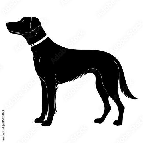black dog silhouette