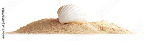 Seashell on a mound of sand