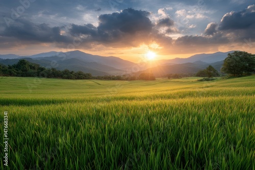 Serene Sunset Over Lush Green Field and Distant Mountains