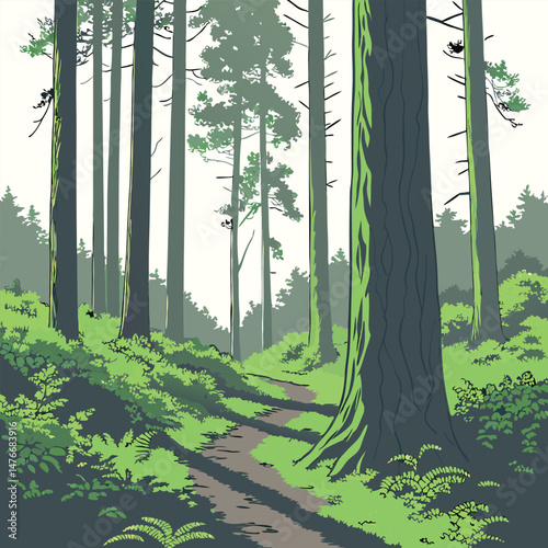 Forest trees  Illustration
