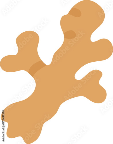 ginger root flat isolated silhouette