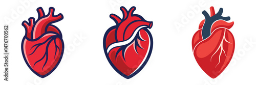 Three stylized anatomical heart illustrations showcasing variations in design and detail, ideal for medical or artistic applications.