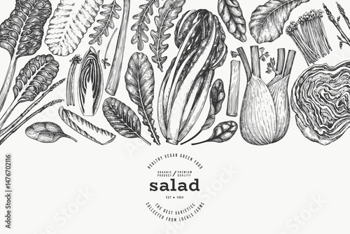 Green Vegetable Design Template. Vector Hand Drawn Healthy Leaf Salad Banner. Vintage Style Menu Illustration.