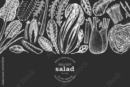 Vegetable Design Template. Vector Hand Drawn Leaf Salad Banner. Vintage Style Menu Illustration On Chalk Board.