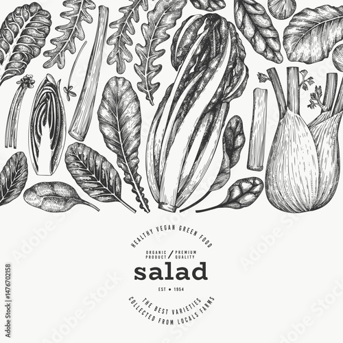 Green Vegetable Design Template. Vector Hand Drawn Healthy Leaf Salad Banner. Vintage Style Menu Illustration.