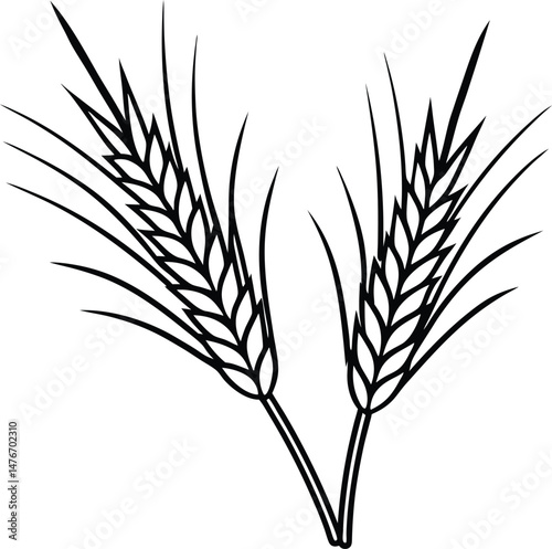 ears of wheat silhouette 