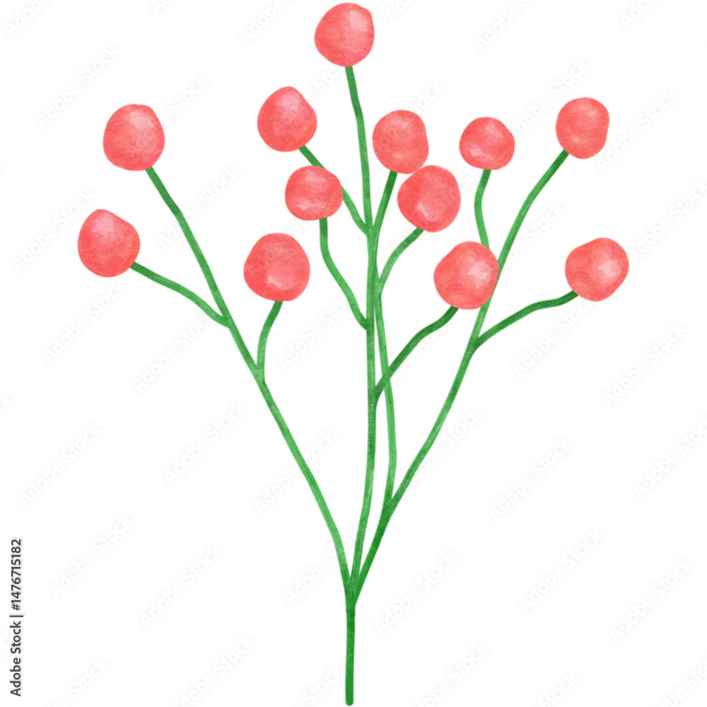 Obraz premium Watercolor Red Berry Branch Clipart — Hand-painted Berries PNG