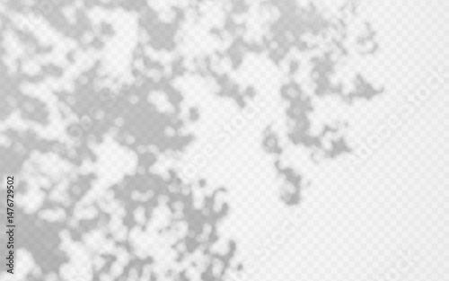 Abstract shadow overlay from foliage on a transparent background.