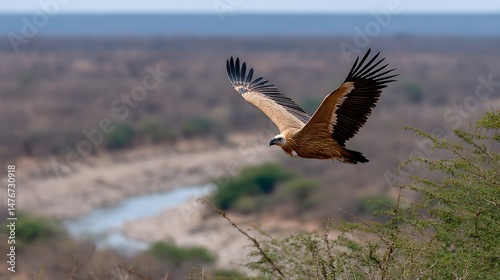 Majestic Vulture in Flight Over Serene Landscape with River and Green Vegetation in the Background