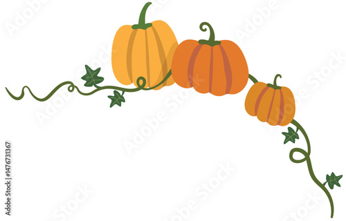 vector illustration of pumpkins