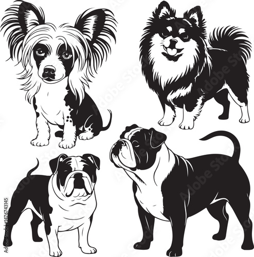 Dog SVG Bundle – Cute Pet Silhouettes & Paw Prints for Cricut Projects

Dog Lover PNG – Fun Pet Clipart for Stickers, Shirts & Mugs

Funny Dog Quote SVG – Perfect for Dog Moms & Dads DIY Gifts

Puppy 