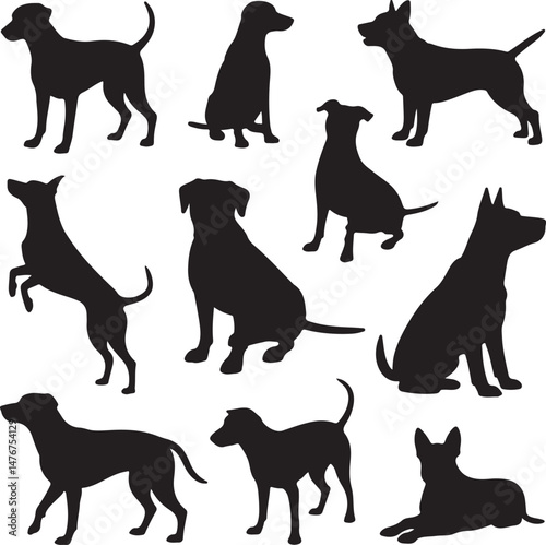 Dog SVG Bundle – Cute Pet Silhouettes & Paw Prints for Cricut Projects

Dog Lover PNG – Fun Pet Clipart for Stickers, Shirts & Mugs

Funny Dog Quote SVG – Perfect for Dog Moms & Dads DIY Gifts

Puppy 