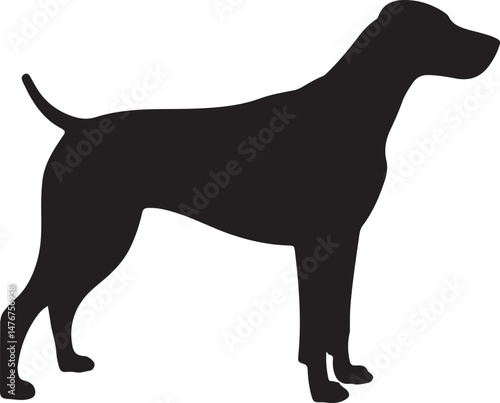 Dog SVG Bundle – Cute Pet Silhouettes & Paw Prints for Cricut Projects

Dog Lover PNG – Fun Pet Clipart for Stickers, Shirts & Mugs

Funny Dog Quote SVG – Perfect for Dog Moms & Dads DIY Gifts

Puppy 