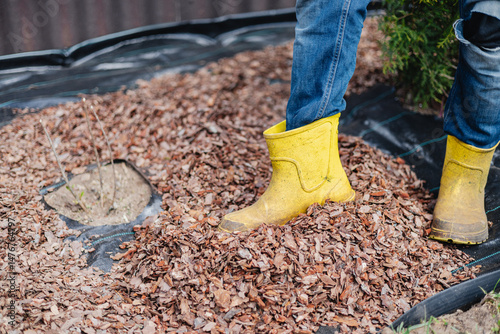 Using bark against weeds around garden plants - mulching the soil