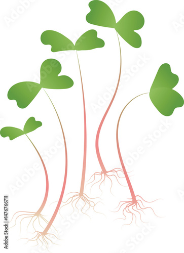 Several microgreen sprouts with green leaves, pink stems and visible roots. Isolated on white background.