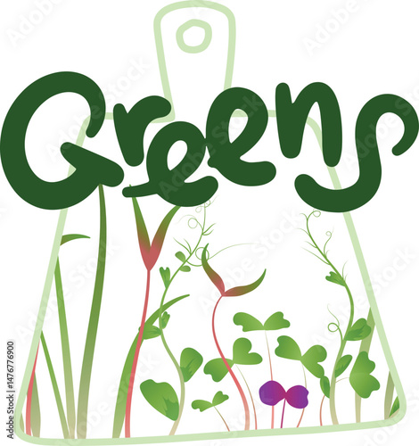 Stylized inscription Greens and sprouts of microgreens inside the outline similar to a board. The theme is greenery, healthy eating, freshness.