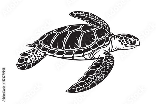 Abyssal Elegance- A Minimalist Sea Turtle Silhouette in Monochrome Shadow