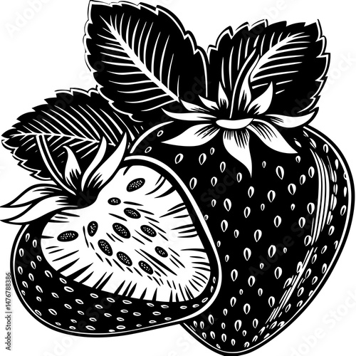 vector illustration of a strawberry