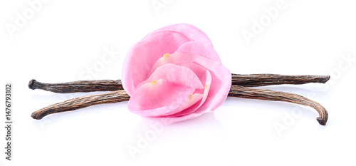 Rose petals with vanilla beans in closeup